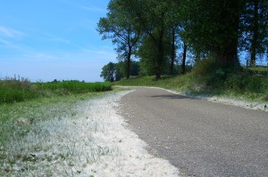 Vakantie Zuid Beveland