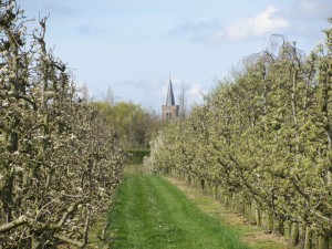 Wemeldinge | Fietsvakantie Zeeland